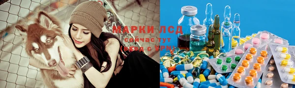 ECSTASY Богородицк