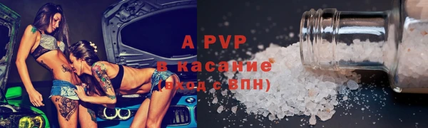 крисы Бородино