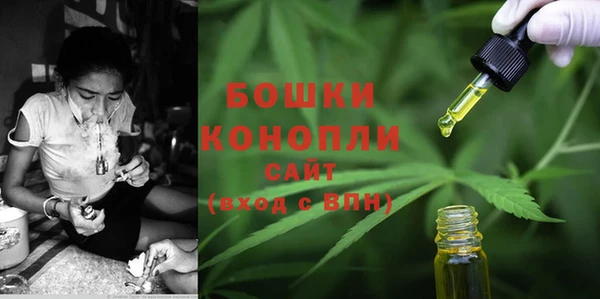 ECSTASY Богородицк