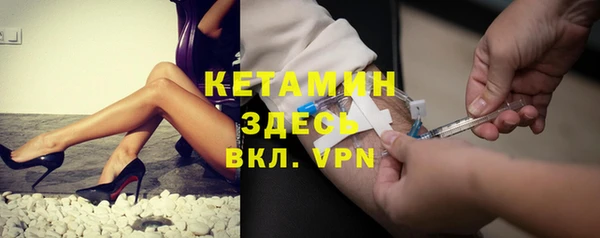крисы Бородино