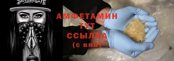 индика Богданович