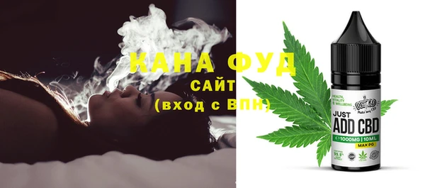 крисы Бородино