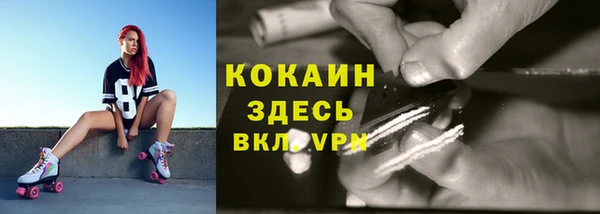 крисы Бородино