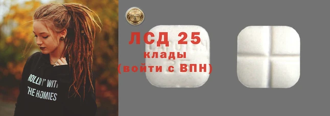 крисы Бородино