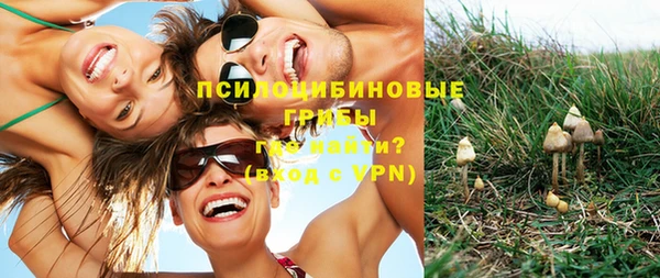 гидропоника Верхнеуральск