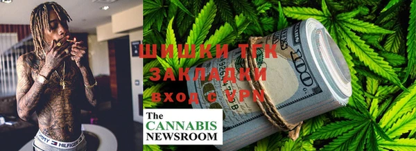 индика Богданович