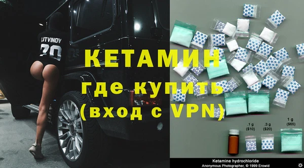 крисы Бородино
