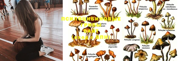 ECSTASY Богородицк