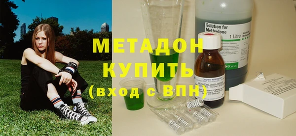 индика Богданович