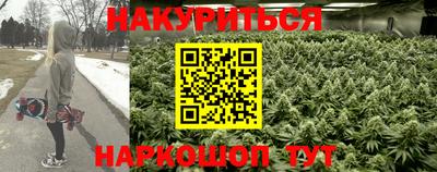 PSILOCYBIN Бийск