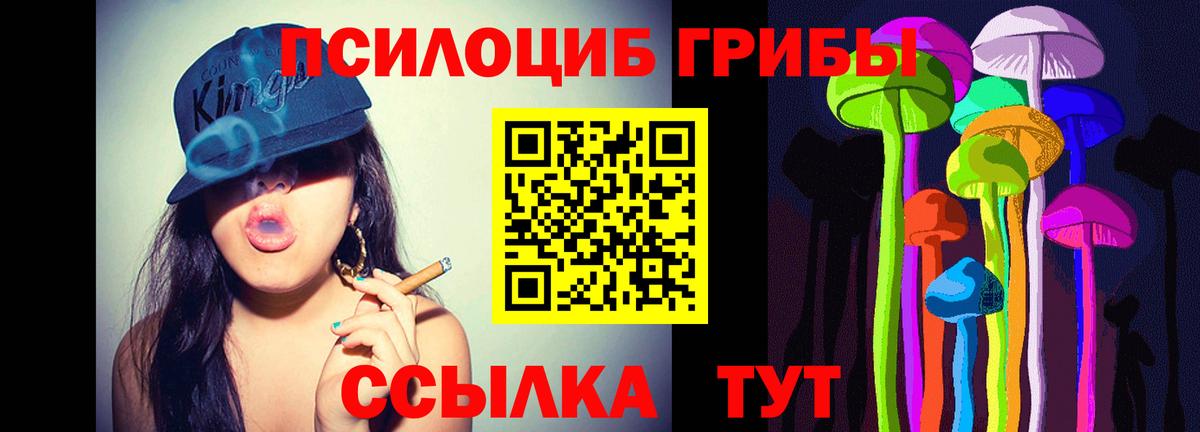 Верхняя Пышма  Галлюциногенные грибы Psilocybe  Вход с VPN 